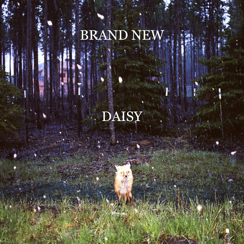 Brand New - Daisy album cover