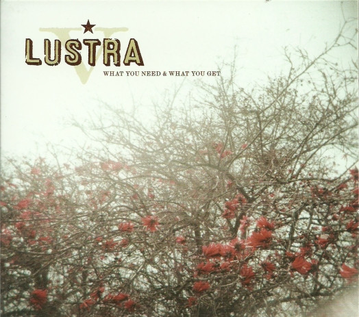 Lustra - What You Need and What You Get album cover