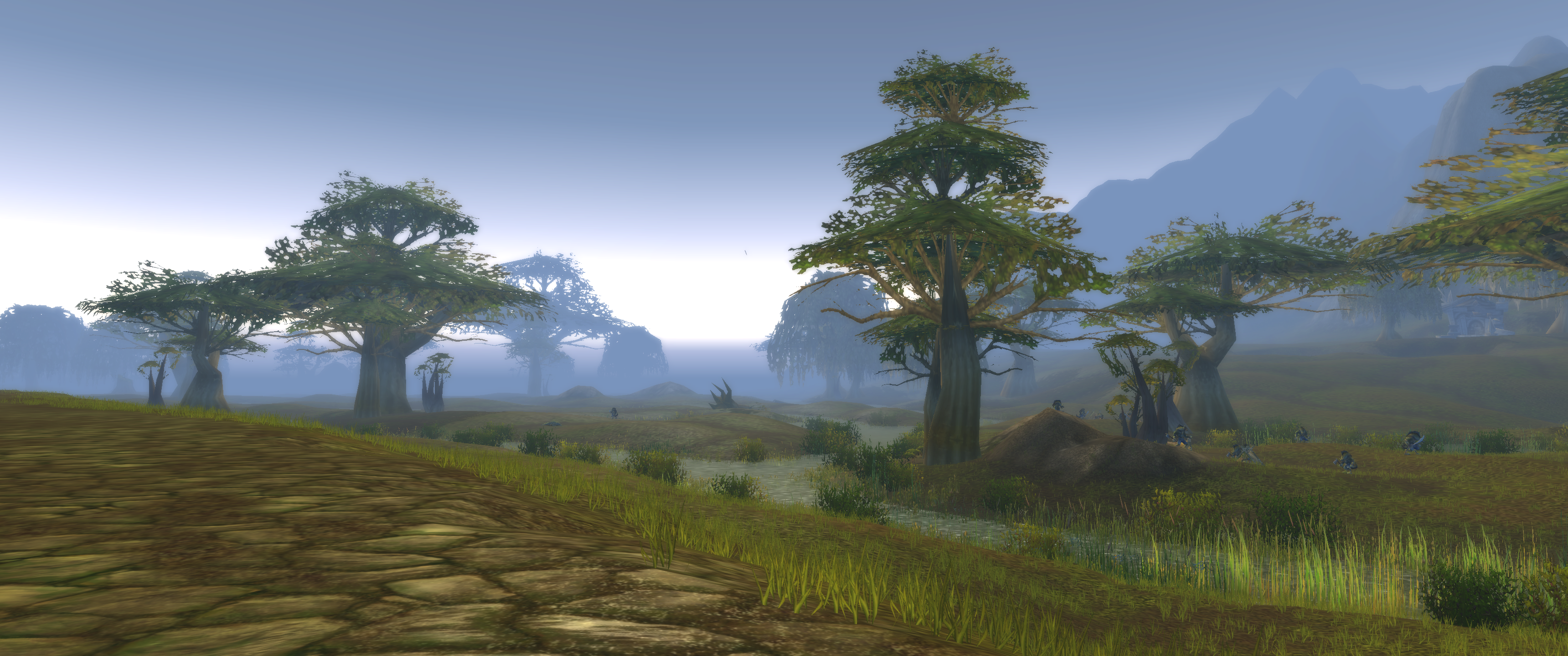The Wetlands