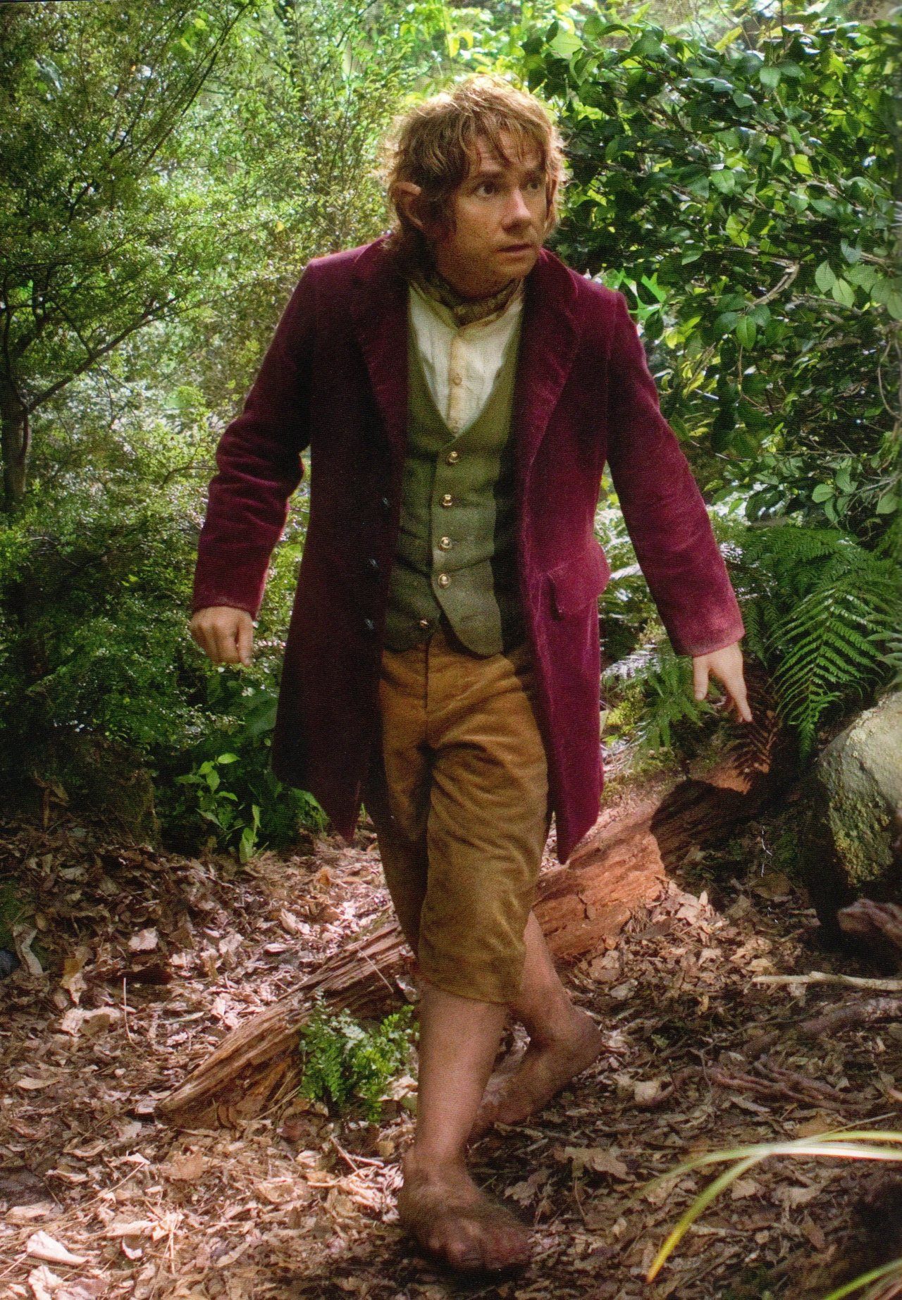 A screenshot of Bilbo from The Hobbit wearing a green vest, white shirt, yellow trousers and a burgundy-ish jacket.