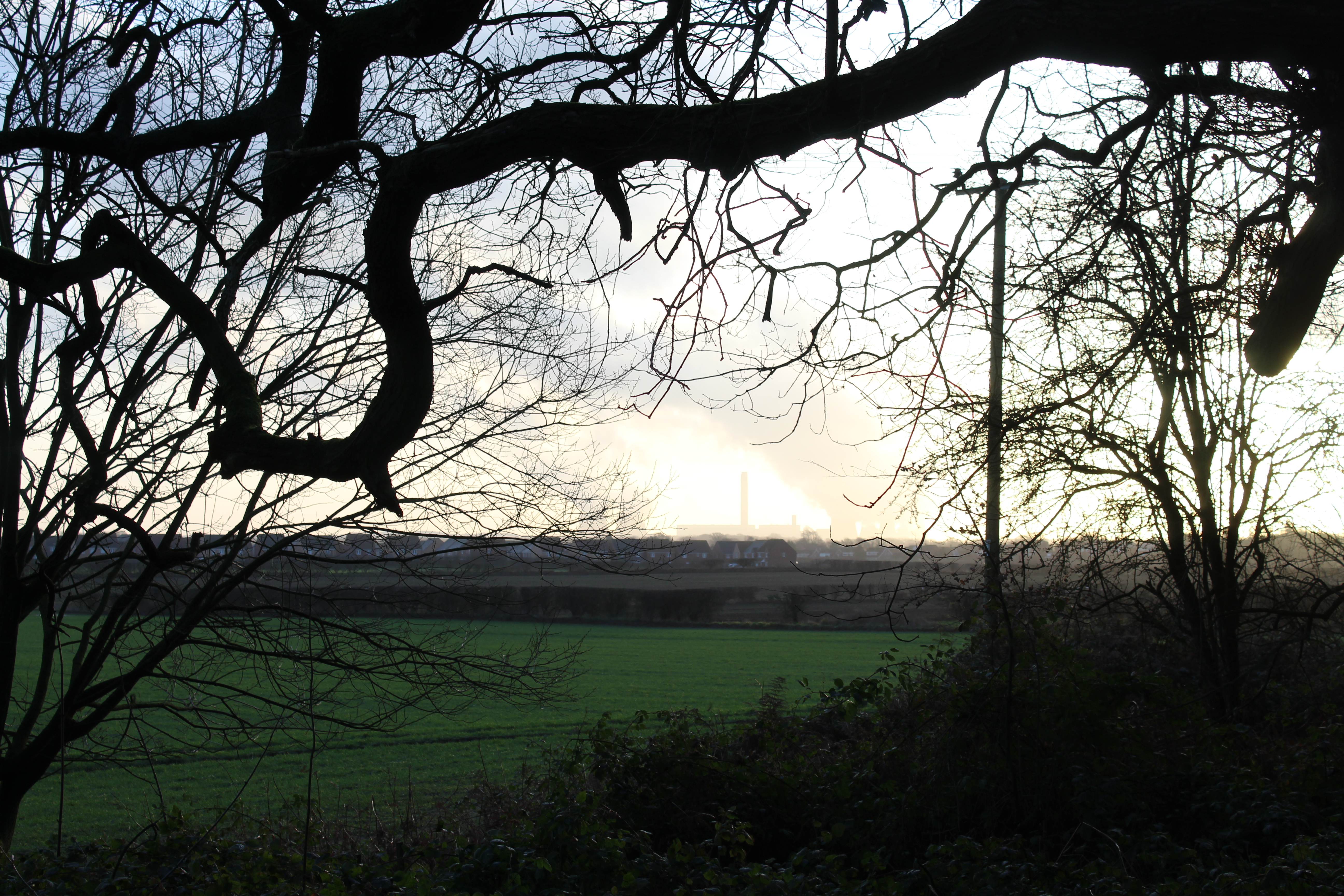 A dark branch moves across the top of the photograph, in the distance is a power station.