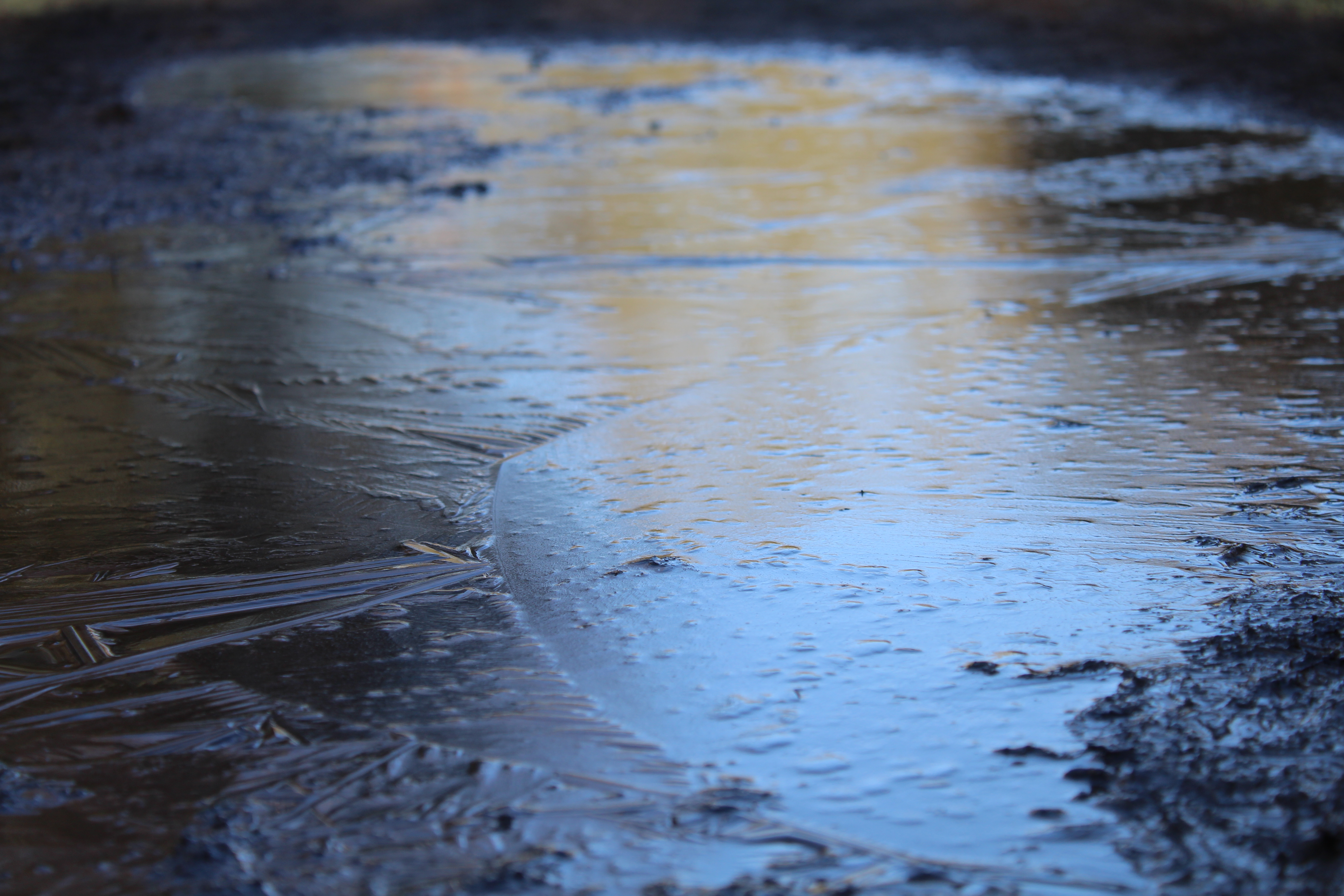 A frozen puddle in a muddy path.